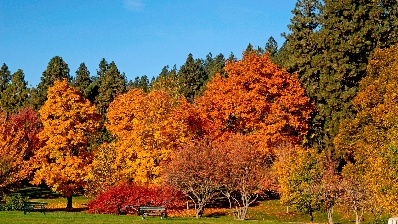 Bicycle lock picking process takes